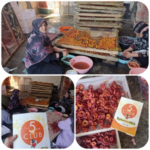 طرح یک لقمه کتاب